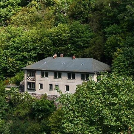 Villa Haus Am Berg Bad Bertrich Esterno foto