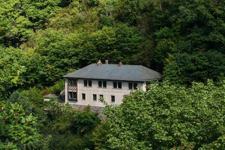 Villa Haus Am Berg Bad Bertrich Esterno foto